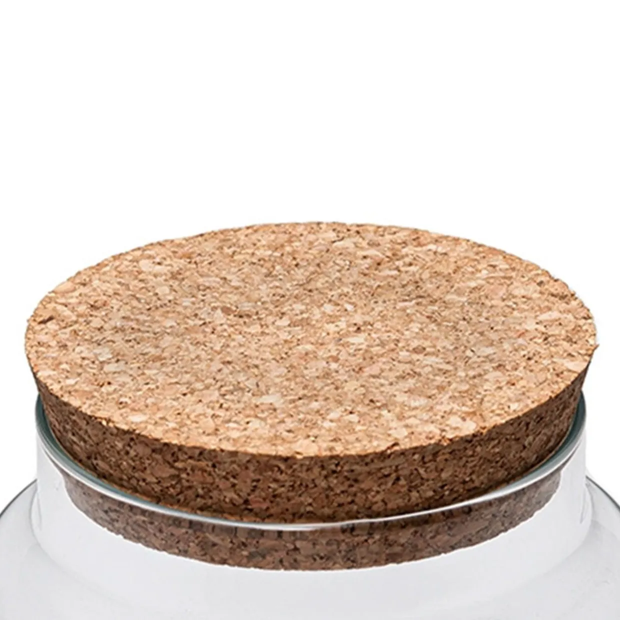 Cork Lid | 12 Pack